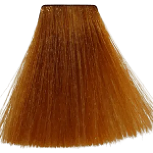 Augeas Professional Hair Color - 8.33 Light Golden Blonde Intensive