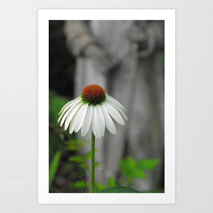 In the Garden with Saint Francis (Unframed Print)