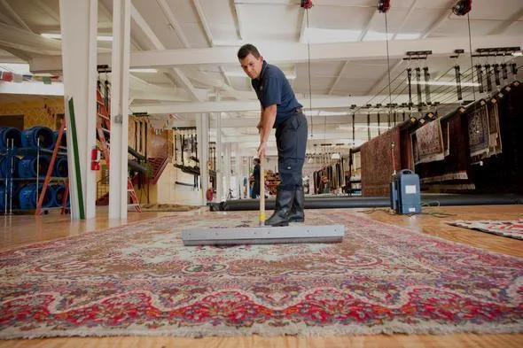 Professional Rug & Carpet Cleaning - Basic