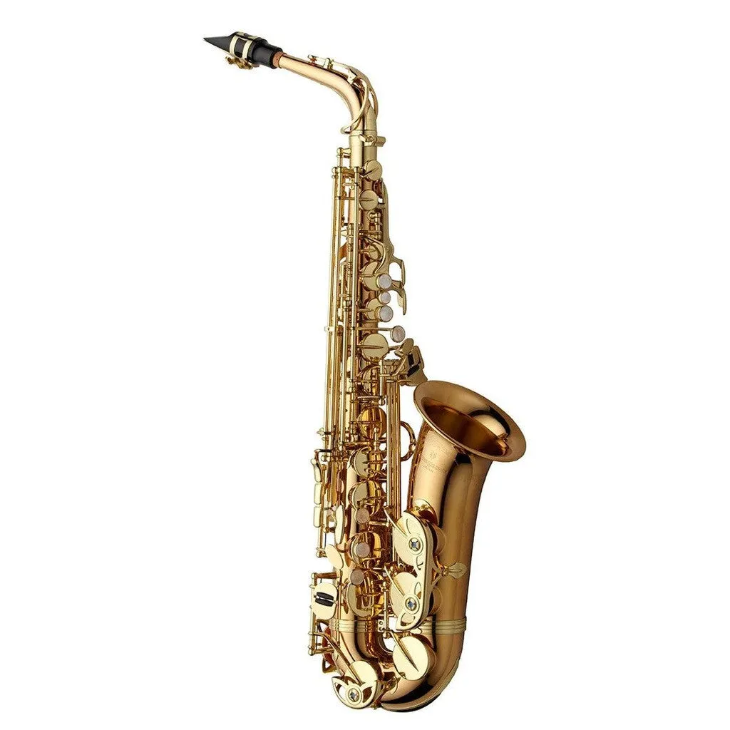 Yanagisawa AWO2 Professional Alto Saxophone - Bronze